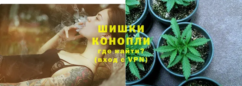 Бошки марихуана марихуана  купить наркотики цена  Железногорск-Илимский 